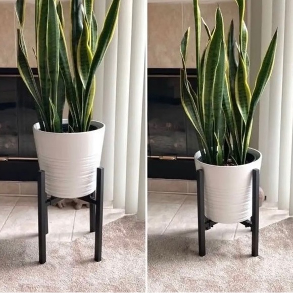 Plant Stand - Picture 2 of 6